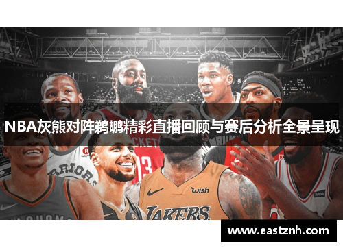 NBA灰熊对阵鹈鹕精彩直播回顾与赛后分析全景呈现